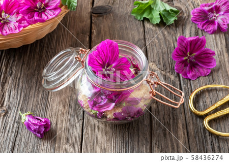 Preparation of mallow syrup from Malva mauritiana 58436274