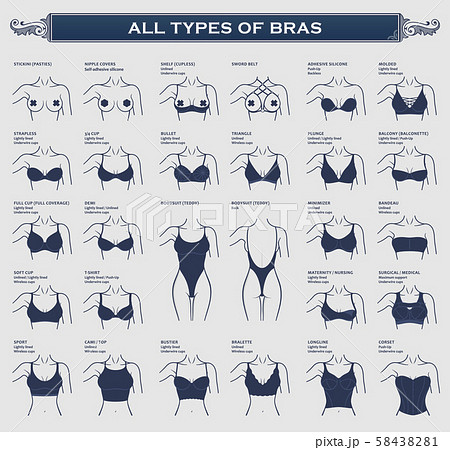 Types of bras. The most complete vector - Stock Illustration