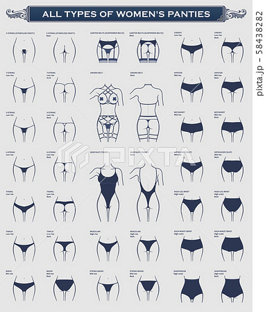 All Types of womens panties. The most complete - Stock Illustration  [58438282] - PIXTA