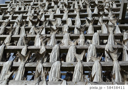北欧 ノルウェー アンドイ 干し鱈の景色 Norway Andøy Dried cod 北欧 ノルウェー アンドイ 干し鱈の景色 Norway Andøy Dried cod 58438411