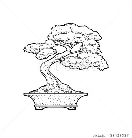 Bonsai Tree In Pot Vintage Black Vector Engravingのイラスト素材