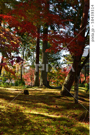 南禅寺の紅葉 58439314