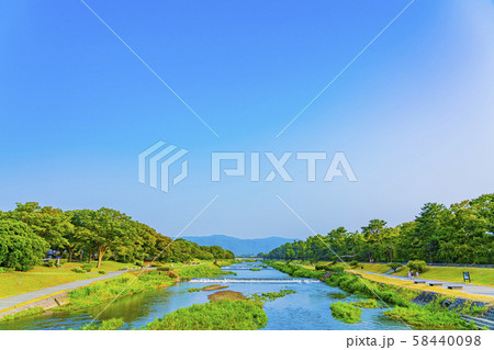 京都　賀茂川　半木の道　 58440098