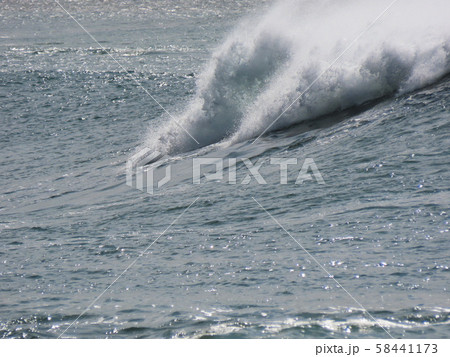 横須賀市 荒崎海岸　Yokosuka city  Arasaki seaside 58441173