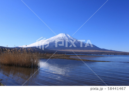 山中湖と富士山 山中湖と富士山 58441467