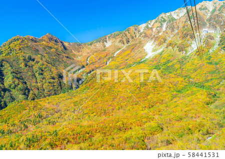 秋の大観峰 絶景 黒部平から大観峰を望む 【富山県】 秋の大観峰 絶景 黒部平から大観峰を望む 【富山県】 58441531