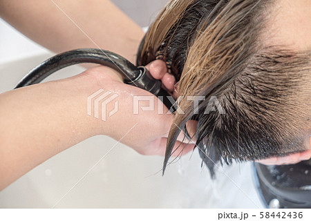 髪を洗う美容師 髪を洗う美容師 58442436