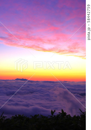 雲海とパステルカラーの朝焼け空 北海道 津別峠 の写真素材