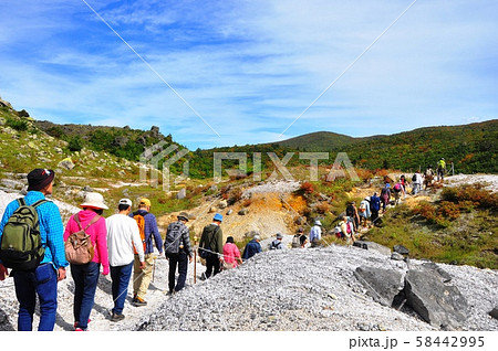 栗駒国定公園　栗駒山登山道　賽の磧付近を歩く団体ハイカー 58442995