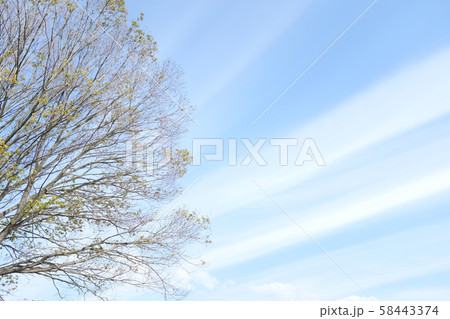 爽やかな空 58443374