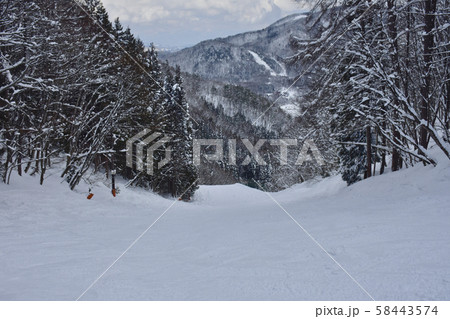 鹿島槍スキー場 一本ブナダウンヒルコース 鹿島槍スキー場 一本ブナダウンヒルコース 58443574