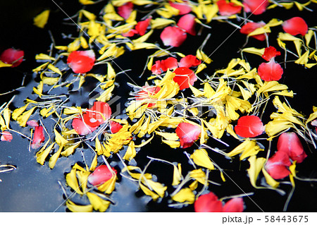 Water in water dipper with colorful flowers pedestal for Songkran festival, Thailand 58443675