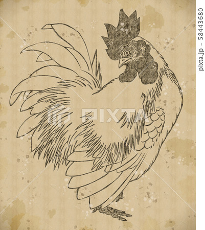 浮世絵 ニワトリ その1 vintageのイラスト素材 [58443680] - PIXTA