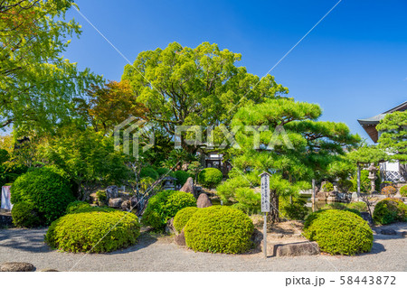 赤穂大石神社 大石内蔵助邸庭園 赤穂大石神社 大石内蔵助邸庭園 58443872