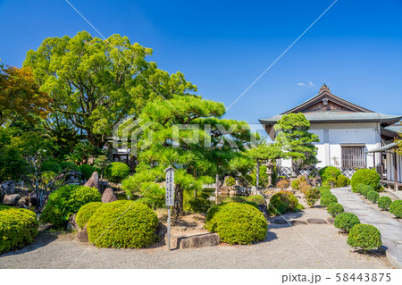 赤穂大石神社　大石内蔵助邸庭園 58443875