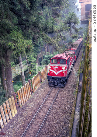 台湾 阿里山 森林登山鉄道 台湾 阿里山 森林登山鉄道 58443968