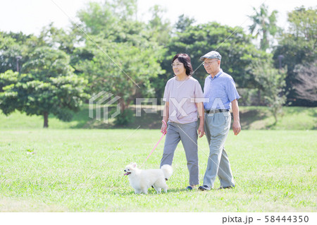 シニア夫婦(公園、犬、ペット、散歩 シニア夫婦(公園、犬、ペット、散歩 58444350