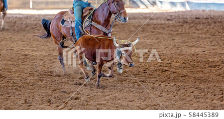 Calf Roping At An Australian Outback Rodeo 58445389