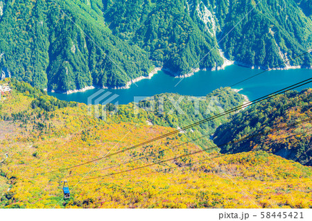 秋の大観峰　絶景　大観峰から黒部平を望む　【富山県】 58445421