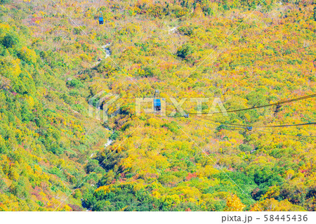 秋の大観峰　絶景　大観峰から黒部平を望む　【富山県】 58445436