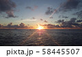 夕日 58445507