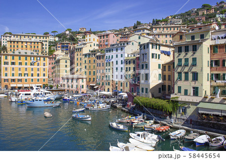 Colorful buildings and beach at Camogli on sunny summer day, Liguria Colorful buildings and beach at Camogli on sunny summer day, Liguria 58445654