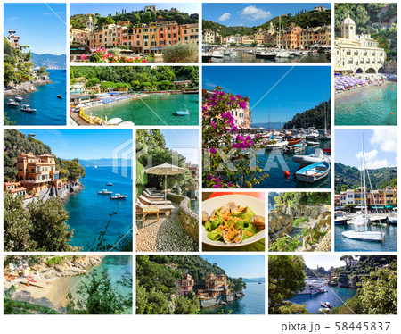 Beautiful bay with colorful houses in Portofino, Liguria, Italy 58445837