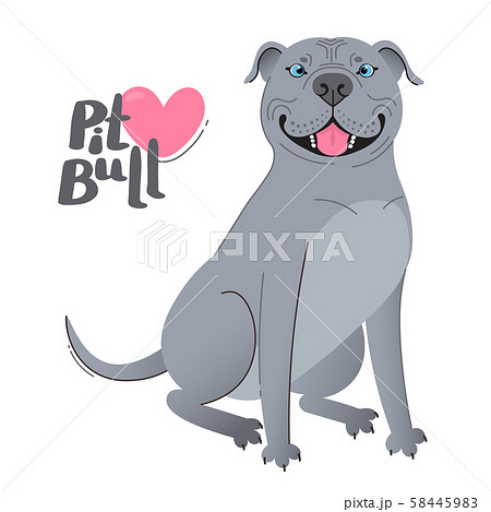 Blue gray pit bull terrier. Happy pitbull. Vector illustration Blue gray pit bull terrier. Happy pitbull. Vector illustration 58445983