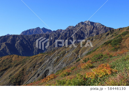 唐松岳登山道の紅葉と五竜岳・鹿島槍ヶ岳　長野県白馬村 58446130