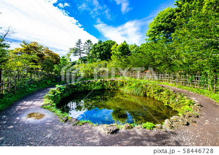 富士山 夏の忍野八海 銚子池 58446728