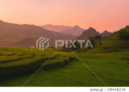 Aerial top view of paddy rice terraces, green 58448226