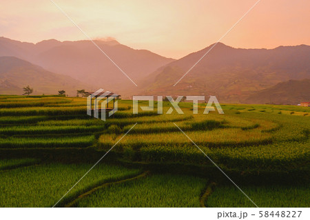 Aerial top view of paddy rice terraces, green Aerial top view of paddy rice terraces, green 58448227