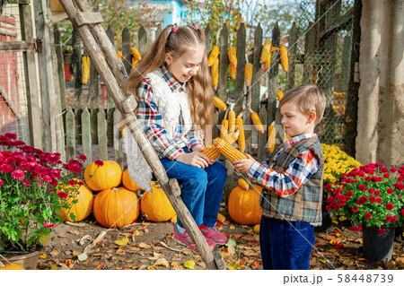 Children pick ripe vegetables and fruits on the Children pick ripe vegetables and fruits on the 58448739