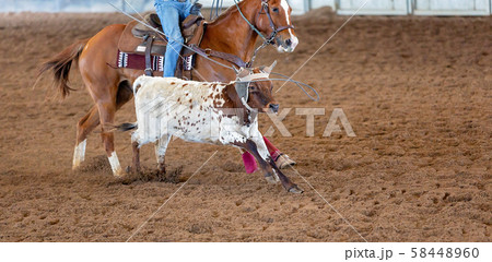Calf Roping At An Outback Rodeo 58448960