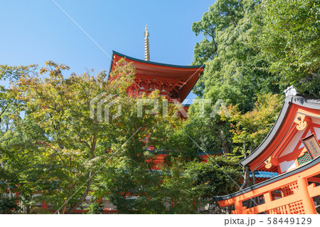 神戸・須磨寺・三重塔 神戸・須磨寺・三重塔 58449129