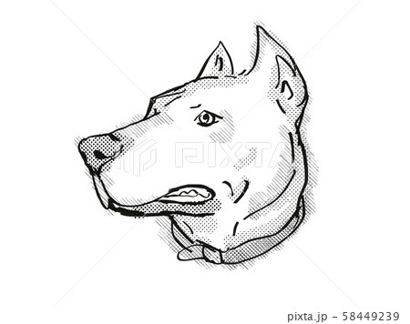 can a dogo argentino live in seychelles