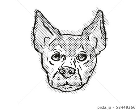 Chihuahua Dog Breed Cartoon Retro Drawing Chihuahua Dog Breed Cartoon Retro Drawing 58449266