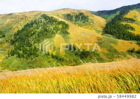 巻機山　9合目付近から巻機山最高点方面 58449982