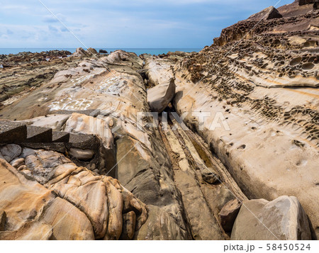 竜串海岸の奇岩群 竜串海岸の奇岩群 58450524