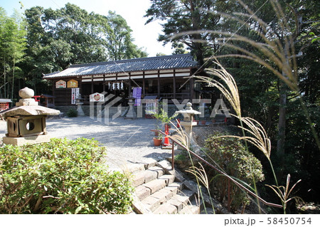春日神社 58450754