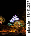 会津鶴ケ城　夜景ライトアップ2019 58451237