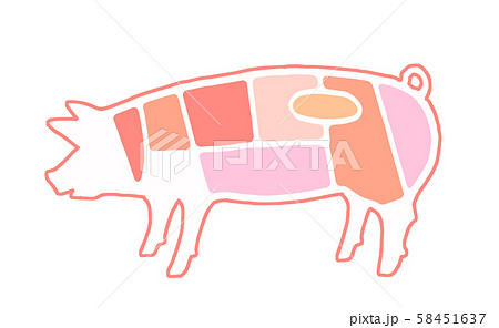 豚肉 部位のイラスト素材