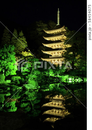 瑠璃光寺五重塔のライトアップ 瑠璃光寺五重塔のライトアップ 58454075