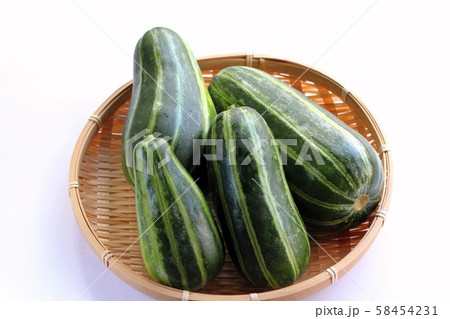 本しま瓜 本しま瓜 58454231