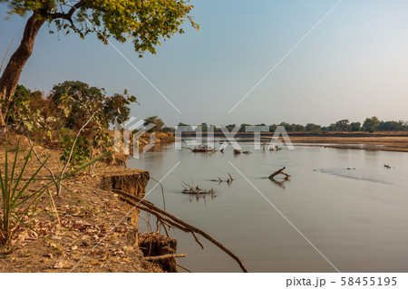 Ultra long exposure of luangwa river in Zambia with trunk debris Ultra long exposure of luangwa river in Zambia with trunk debris 58455195