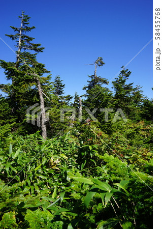 行ってみよう初秋の八幡平 行ってみよう初秋の八幡平 58455768