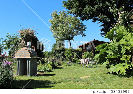 小屋と大きな木と芝生のある庭 小屋と大きな木と芝生のある庭 58455995