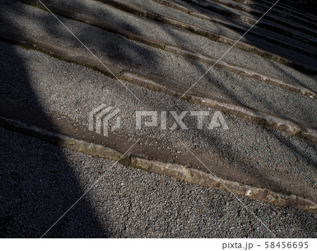 影の道 影の道 58456695