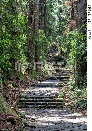 《和歌山県》熊野古道の大門坂 《和歌山県》熊野古道の大門坂 58457664