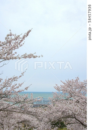 日和山の桜と石巻港 58457936